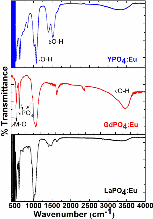 FTIR spectra of the LaPO4:Eu, GdPO4:Eu, and YPO4:Eu NPs.