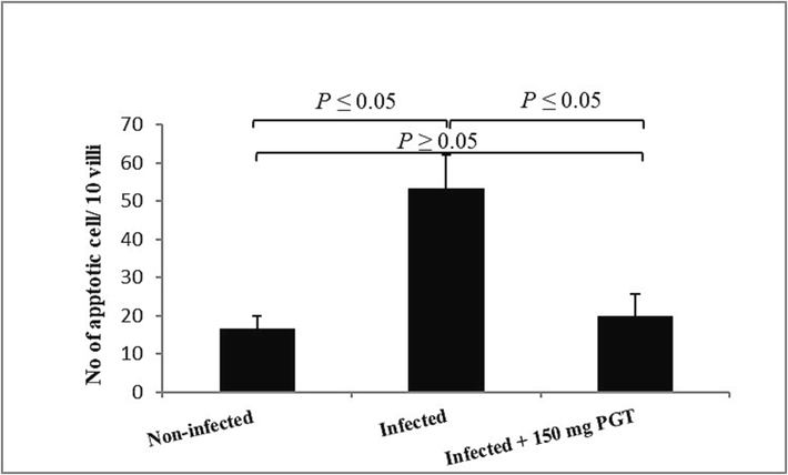 The number of apoptotic cells in different group. Significant change at P ≤ 0.05 with respect to the non-infected and the infected group.