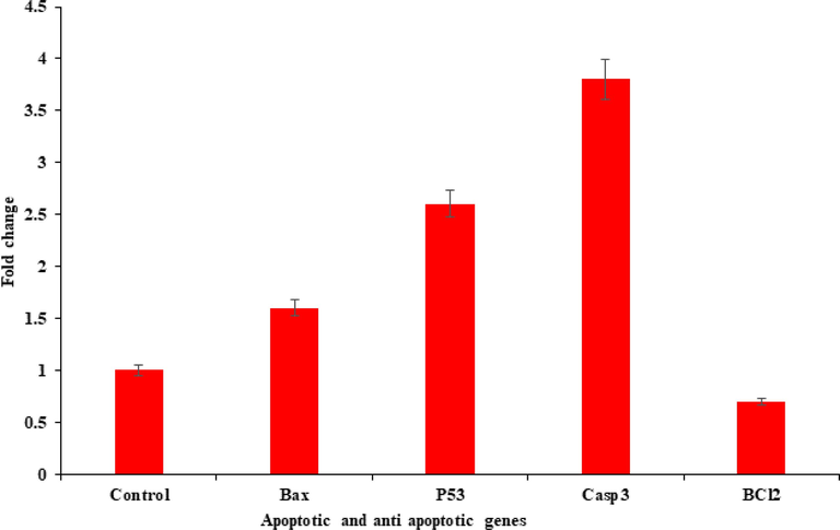 Quantification of ZnFe2O4NPs induced mRNA fold change, apoptotic genes (bax, p53, and casp3) and anti-apoptotic gene (bcl-2) was calculated. MCF-7 cells induced 200 µg/mL of ZnFe2O4NPs for 24 h. For the internal control GAPDH was used. The values are mean ± SE of three independent experiments.