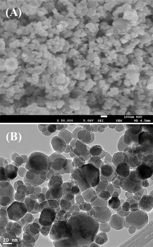 (A) and (B) shows the FESEM and TEM image of the prepared zinc ferrite nanoparticles (ZnFe2O4NPs) respectively.