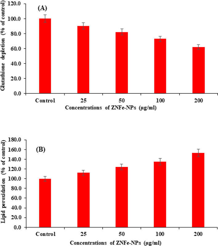 ZnFe2O4NPs -induced oxidative stress in MCF-7 cells exposed for 24 h. A Glutathione depletion, B Lipid peroxidation, Values are mean ± SE of three independent experiments.