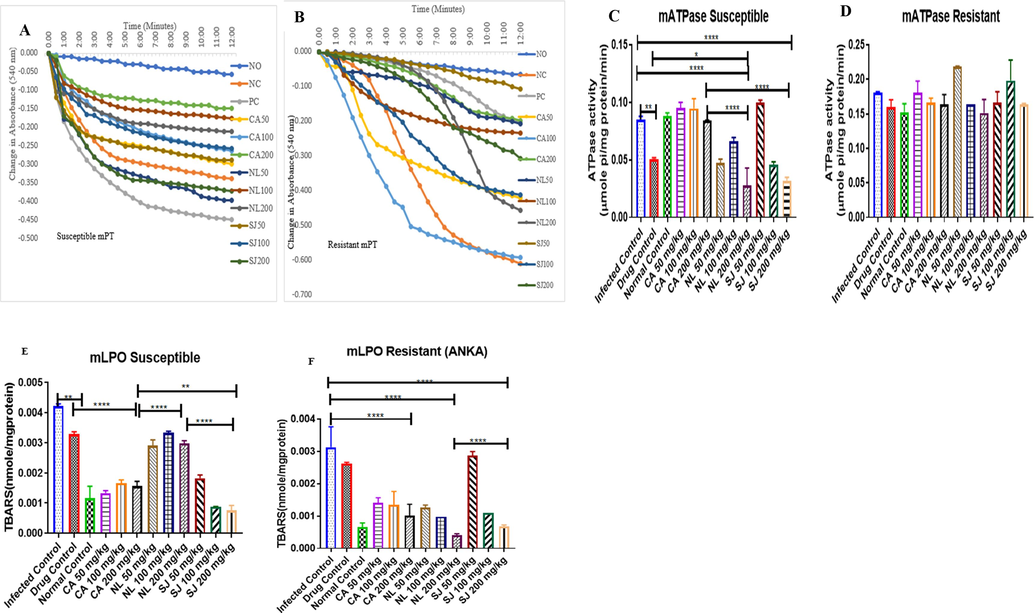 Modulatory effects of Plasmodium berghei infection on some mitochondrial parameters: reversal effects of C. afer, N. latifolia and S. jollyanum extracts on mitochondrial permeabilisation in susceptible (A) and resistant (B) models. These extracts modulated ATPase activity in susceptible (C) and resistant (D) models. They also inhibited lipid peroxidation in susceptible (E) and and resistant (F) models. * = P < 0.05; ** = P < 0.01; **** = P < 0.0001.