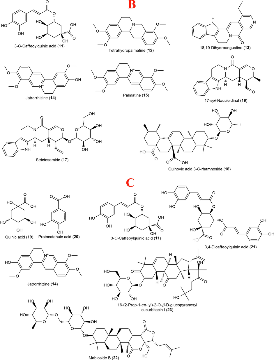 Structures of compounds identified in Costus afer (A), Nauclea latifolia (B) and Sphenocentrum jollyanum (C) contd. Structures of compounds identified in Costus afer (A), Nauclea latifolia (B) and Sphenocentrum jollyanum (C).