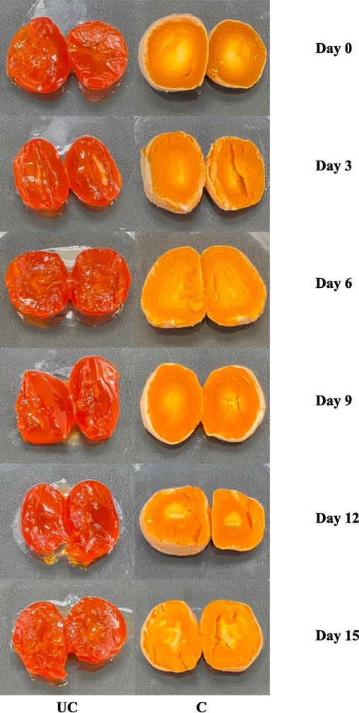 Appearance of uncooked and cooked SDEY under prolonged storage in ambient condition. Note: UC represents uncooked yolk and C represents cooked yolk.