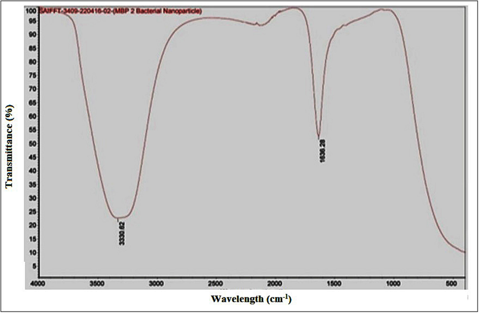 FTIR spectra of silver nanoparticles synthesized by Planococcus maritimus MBP-2.