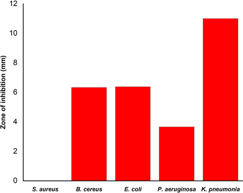 Antifungal activity of silver nanoparticles synthesized by Planococcus maritimus MBP-2.