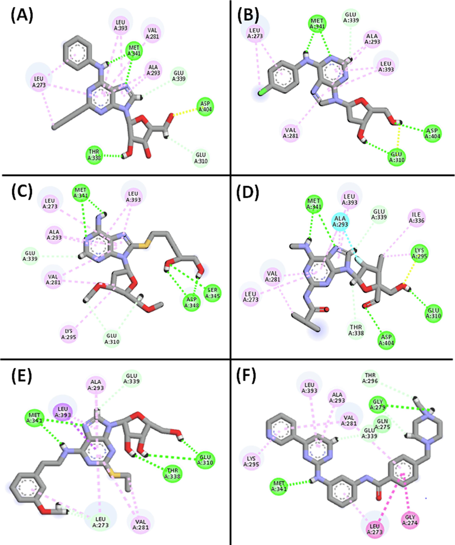 2D and 3D interactions of the top hits with the active sites of c-Src tyrosine kinase. (A) CID_70144047, (B) CID_11291395, and (C) CID_22844919, (D) CID_134165918, (E) CID_60151031, and (F) Co-crystalized ligand respectively.