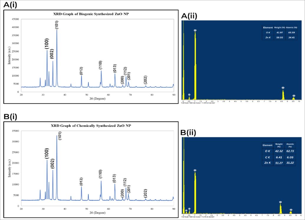 (A(i), B(i)) XRD graph of biogenic and chemogenic ZnO NP, (A(ii), B(ii)) Compositional analysis of biogenic and chemogenic ZnO NP.