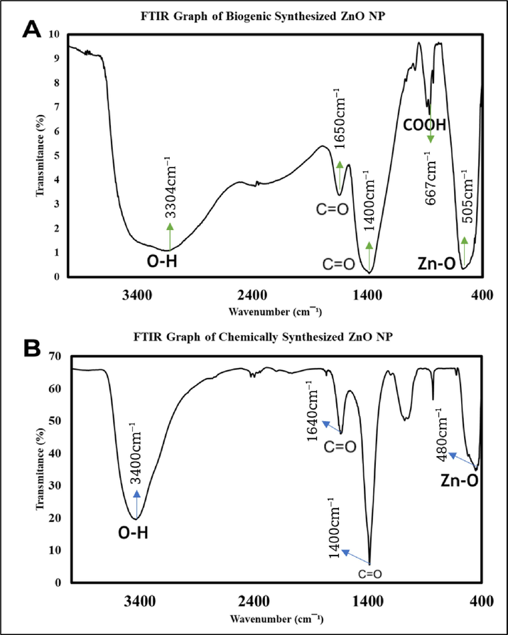 Functional groups of (A) biogenic ZnO NP, (B) chemogenic ZnO NP.