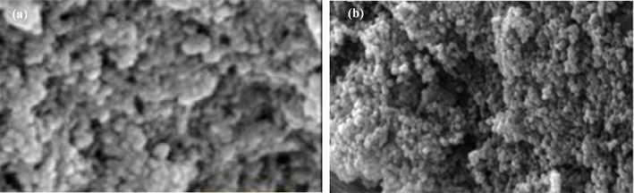 SEM of the prepared nanocomposites CS/OMMT (a) before adsorption of Pb ions and (b)) after adsorption of Pb ions.