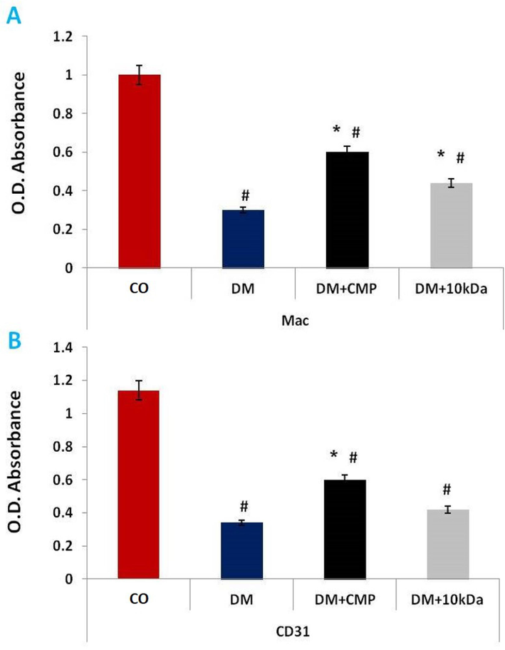 ELISA estimation of reactivity of anti-Mac-3 (A) and anti-CD31 (B) antibodies. The values shown are means ± SD. *indicates a significant difference with the control group. # denotes a statistically significant difference with the diabetic group.