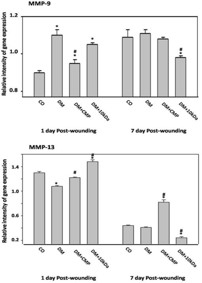 Inflammatory mediators during wound healing. Expression profiles of MMP-9 and MMP-13 by qRT–PCR. Gene expression of MMP-9 and MMP-13 in excised wound tissue on days 1 through day 7 post-wounding were measured and compared to the housekeeping gene GAPDH using qRT–PCR. The values shown are means ± SD. * indicates a significant difference. # indicates a significant difference.