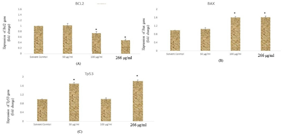 Expressions of apoptotic genes in HCT cells exposed to SM-9 drug for 24 h. Expression of (A) Bc12 (B) Bax, (C) p53, gene In HCT cells for 24 h. Results are ecpressed in average ± SD of triplicate experiments. *p < 0.05 vs. solvent control.