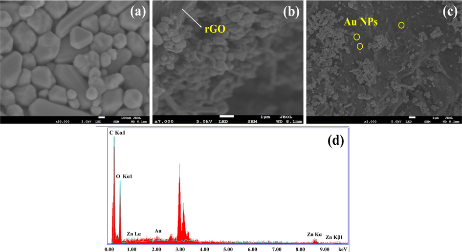 Morphological analyses of (a) pristine ZnO NSs, (b) binary nanocomposites of ZnO/rGO, and (c) ternary nanocomposites of ZnO/rGO/Au along with (d) EDX spectrum of ternary nanocomposites of ZnO/rGO/Au.