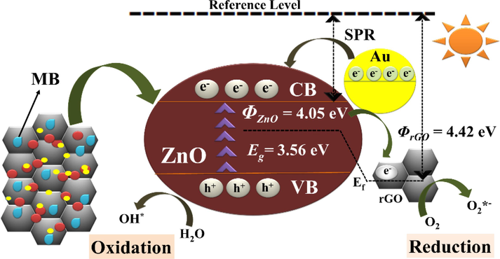 Mechanism of sunlight-driven photocatalysis by ZnO/rGO/Au NCs.