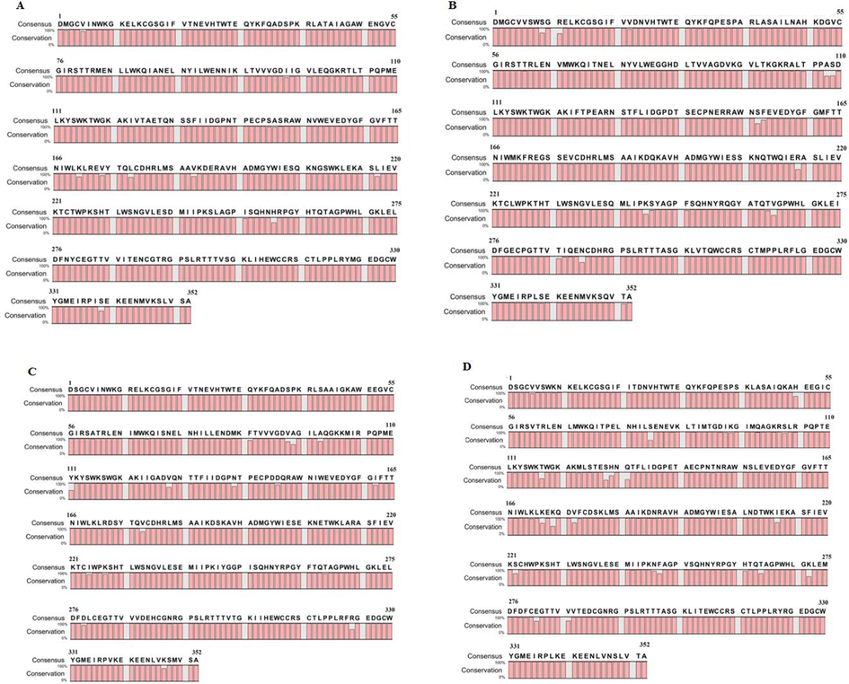 Serotype-specific consensus sequence of (A) DENV1 NS1, (B) DENV2 NS1, (C) DENV3 NS1 and (D) DENV4 NS1. Amino acids have been shown by their one letter code. The bars under the amino acids show percent amino acid conservation at their respective position.