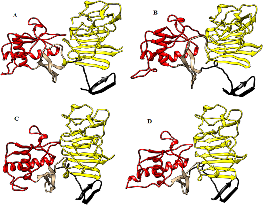 Protein structure of (A) DENV1 NS1, (B) DENV2 NS1, (C) DENV3 NS1 and (D) DENV4 NS1. The regions highlighted in black, red and yellow are β-roll, wing and β-ladder domains of NS1. Portions highlighted in gray represent connectors.