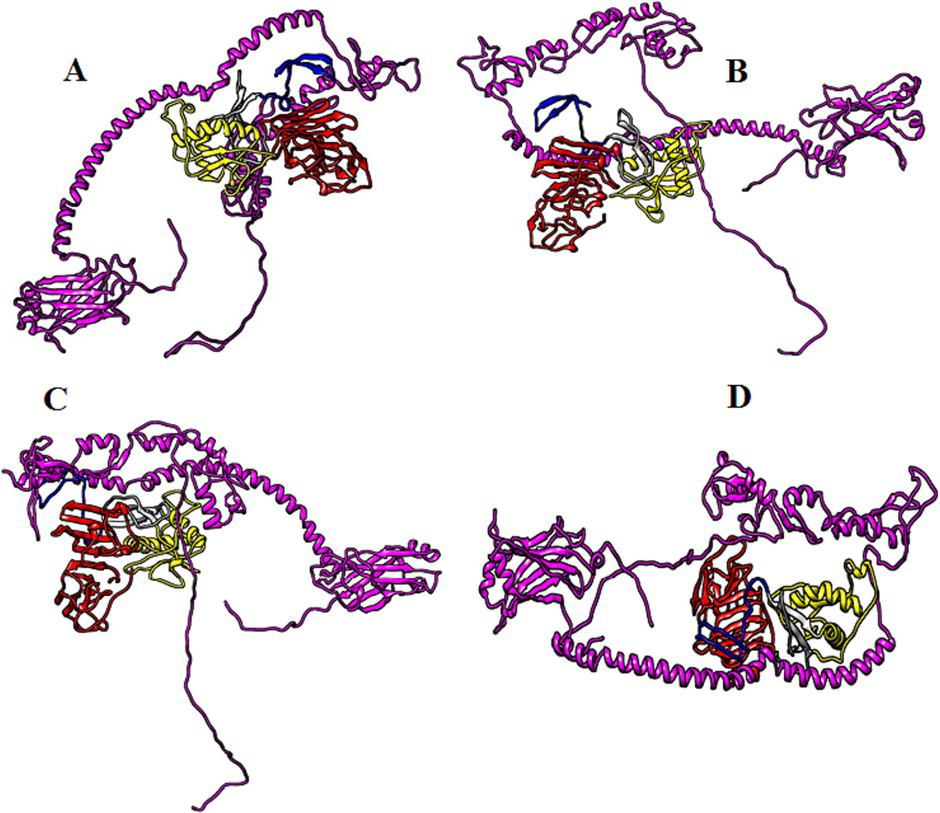 Biomolecular complexes of (A) DENV1 NS1-TRAF6, (B) DENV2 NS1-TRAF6, (C) DENV3 NS1-TRAF6 and (D) DENV4 NS1-TRAF6. Protein highlighted by multicolor represent DENV NS1 whereas TRAF6 protein has been shown by purple color in the complex.