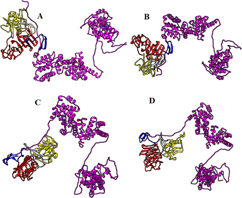 Biomolecular complexes of (A) DENV1 NS1-EIF4G1, (B)DENV2 NS1-EIF4G1, (C) DENV3 NS1-EIF4G1 and (D) DENV4 NS1-EIF4G1. Protein highlighted by multicolor represent DENV NS1 whereas EIF4G1 protein has been shown by purple color in the complex.