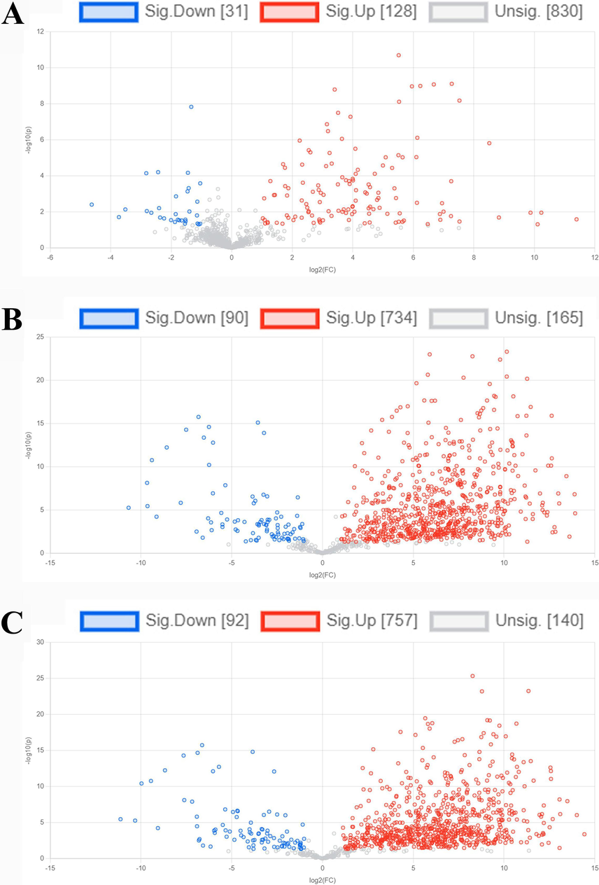 Comparing metabolites between treatment and control groups using a volcano plot. (A) Phyllanthus emblica extract versus control. (B) Terminalia bellerica extract versus control. (C) Terminalia chebula extract versus control. Metabolites showing significance are represented in red and blue, meeting the criteria of a fold change greater than 2 and a p-value below 0.05. (For interpretation of the references to colour in this figure legend, the reader is referred to the web version of this article.)