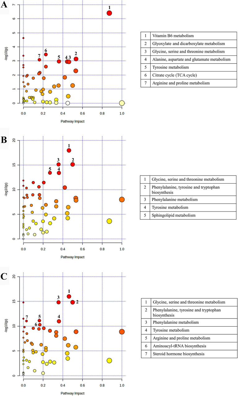 Overview of metabolic pathway analysis. (A) Phyllanthus emblica extract versus control. (B) Terminalia bellerica extract versus control. (C) Terminalia chebula extract versus control.