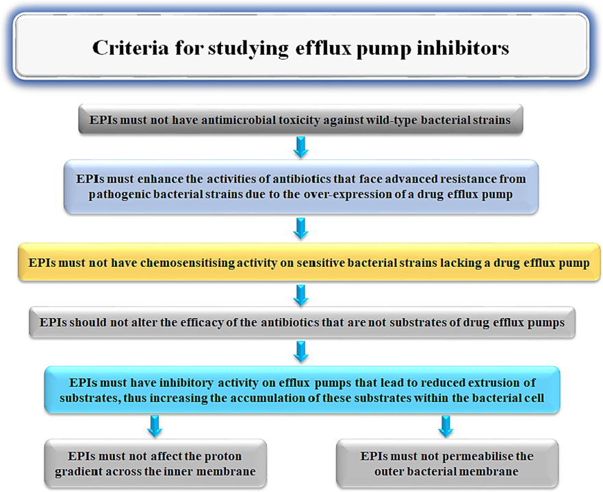 The required criteria for potential compounds to be effective EPIs.