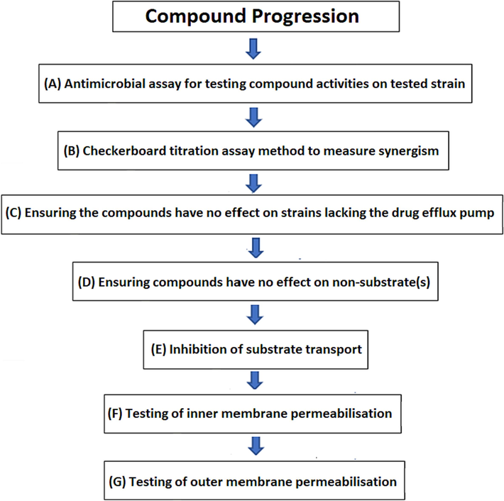 Compound progression plan for potential compounds which can act as effective EPIs. Shown several biological assays to identify the ability of the biological activity of tested compounds to satisfy the required criteria for potential compounds EPIs.