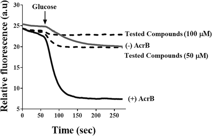 The picture shows an example of the inhibition of Nile Red efflux through AcrB protein. Wild-type-resistant cells expressing AcrB (black line), devoid of AcrB (grey line), while the dotted lines indicate AcrB-expressing cells with Nile Red that were added to them the tested compounds. At 60 secs, the measurement of the efflux was started by adding 0.2% glucose (black arrow). This assay is repeated three times with different batches of cells to obtain precise results. Adapted from Wang et al. (2021). *(This experiment and some following experiments have been done by our group (Wang et al., (2021), where I was the first co-author in this work).