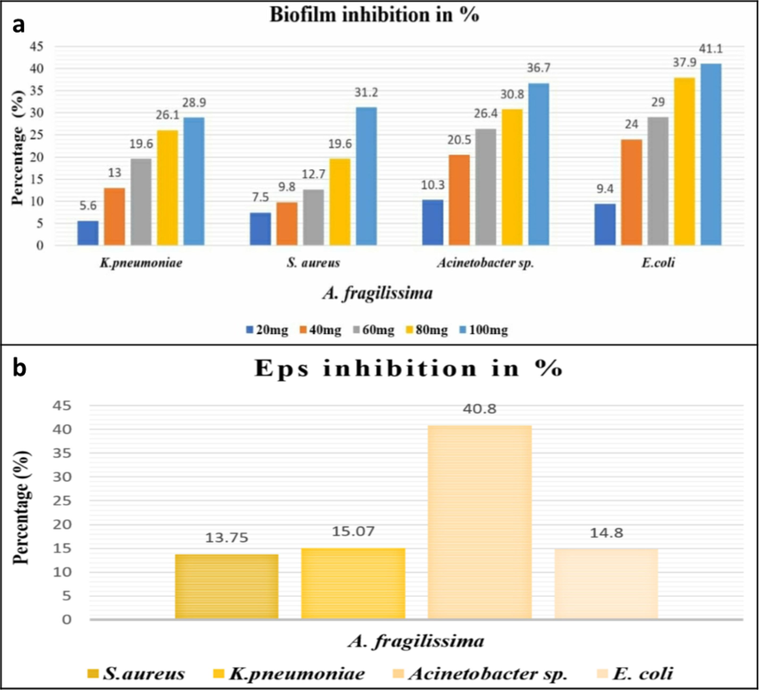 (a) Percentage of Biofilm inhibition (b) Percentage of EPS inhibition by A. Fragilissima.