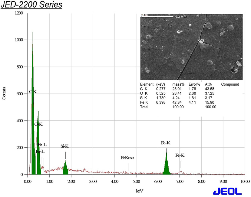 Elemental composition of the biofabricated IONPs.