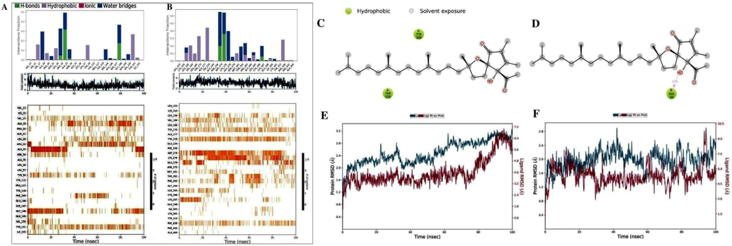 Molecular dynamics simulation analysis diagrams. The stacked bar charts for protein–ligand interaction map. A) AKT1-ATA complex and B) TNF-ATA complex, 2D molecular contacts profiling for the hydrophobic (green) poses. C) AKT1 and D) TNF, and Calculated RMSD values for protein fit ligand ATA (red curves) and alpha carbon (Cα) atoms (blue curves). E) AKT1 and F) TNF.