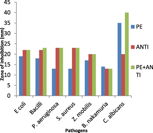 Zone of inhibition against bacteria and fungi by S. aromaticum leaves extract. PE = Plant Extract; ANTI = Standard Antibiotic.