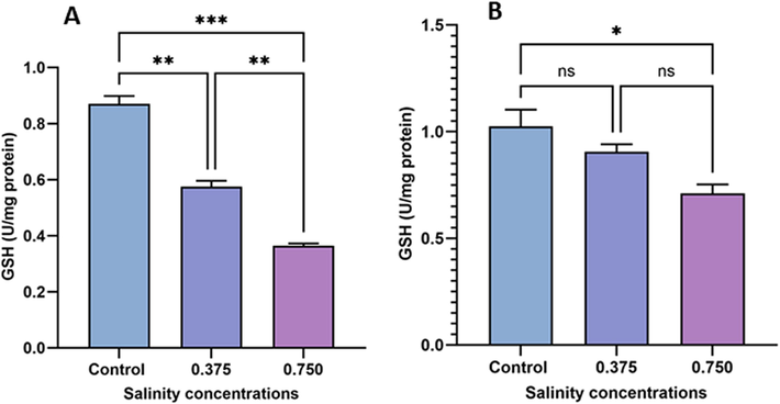 Evaluation of GSH content in sexual (A) and asexual (B) salinity-treated groups. Values are expressed as the mean ± standard deviation of eight rats from each group. (*) indicates p < 0.05, (**) indicates p < 0.01, and (***) indicates p < 0.001. ns: not significant.