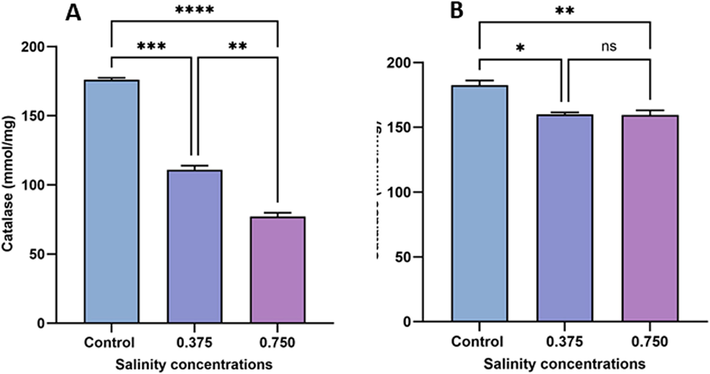 Changes in CAT activity in sexual (A) and asexual (B) salinity-treated groups. Values are expressed as the mean ± standard deviation of eight rats from each group. (*) indicates p < 0.05, (**) indicates p < 0.01, (***) indicates p < 0.001, and (****) indicates p < 0.0001. ns: not significant.