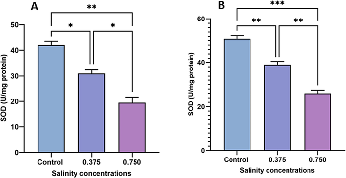 Changes in SOD activity in sexual (A) and asexual (B) salinity-treated groups. Values are expressed as the mean ± standard deviation of eight rats from each group. (*) indicates p < 0.05, (**) indicates p < 0.01, and (***) indicates p < 0.001. ns: not significant.