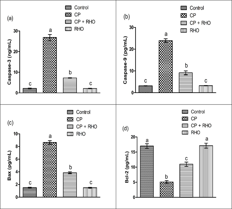 Effect of CP & RHO on activity of (a) Caspase-3 (b) Caspase-9 (c) Bax (d) Bcl-2. Values are depicted as Mean ± SEM. Significant differences displayed as (P < 0.05).