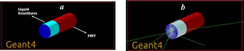 GEANT4 visualization of a liquid scintillator based on C450 (a) before and (b) after events running.