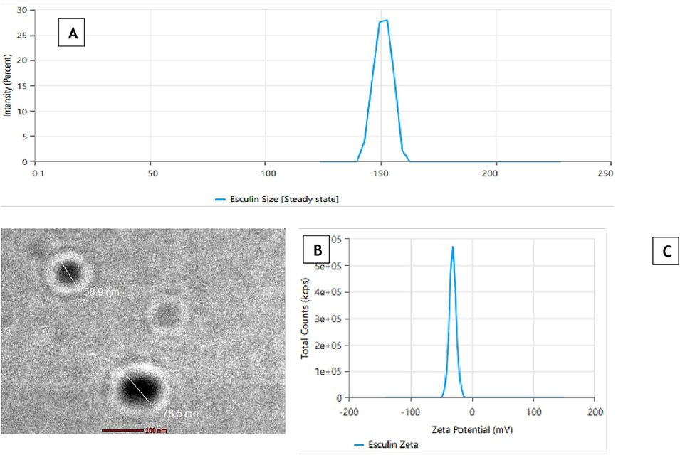 (A) Average vesicle size using zetasizer, (B) Transmission electron micrograph, (C) Zeta Potential of optimised formulation.