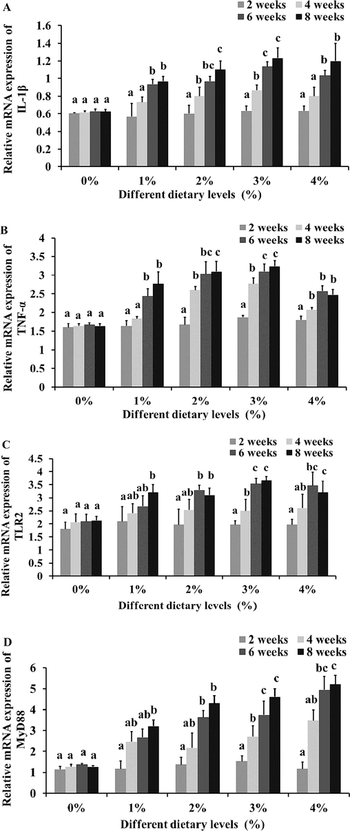 Innate immune genes of (A) IL-1β, (B) TNF-α, (C) TLR and (D) MyD88 expressions in C. batrachus after treatment of M. arvensis extracts. Data are represented as mean±standard deviation (n = 6). Significant differences are indicated by different letters on treated and control groups (P < 0.05). Means 0 %, 1 %, 2 %, 3 % and 4 % were basal diet with infection plus 0, 1, 2, 3 and 4 g/kg of dry matter of M. arvensis extract, respectively.