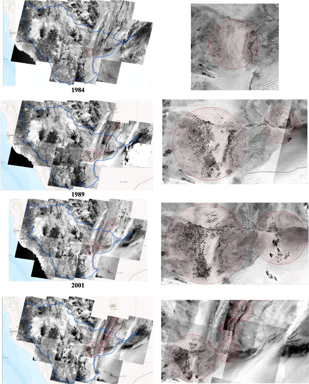 Landsat images showing the changes in the cultuvated areas of the Wadi Al Dawasir between 1984 and 2022 for the Study area.