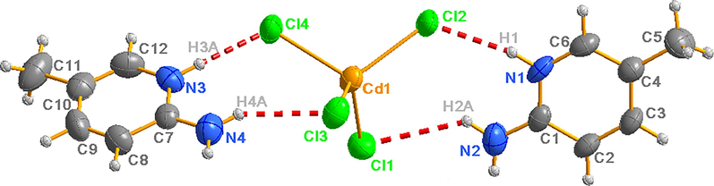 ORTEP (ellipsoids drawn at the 50 % probability level) representation of the asymmetric unit of (C6H9N2)2[CdCl4] with an atom-labeling scheme. Hydrogen atoms are depicted as spheres with arbitrary radii. Red dashed lines denote hydrogen bonds.