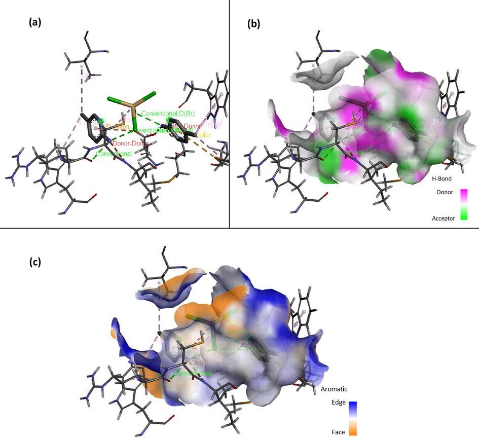 Mode of interaction of (C6H9N2)2[CdCl4] with the active sites of iNOS (a), H-Bond surface (b), and aromatic surface map (c).