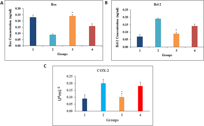 The effect of HFCS on the expression of Bax, Bcl-2, and COX-2. The data provided are the means and standard deviations of independent experiments. Per minute, A - nmol of TMPD is oxidized. At p < 0.05, values that do not share a common superscript differ significantly (DMRT).