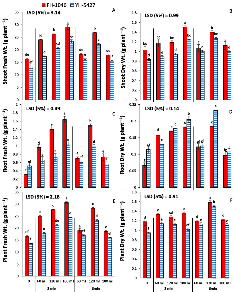 Shoot fresh (A) and dry (B), root fresh (C) and dry (D), and, total plant fresh (E) and dry (F) weights of maize plants grown from magnetically primed seeds magnetized for different exposure times.