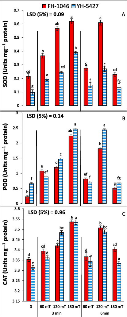 Superoxide dismutase (A), peroxidase (B) and catalase (C) activities of maize plants grown from magnetically primed seeds magnetized for different exposure times.