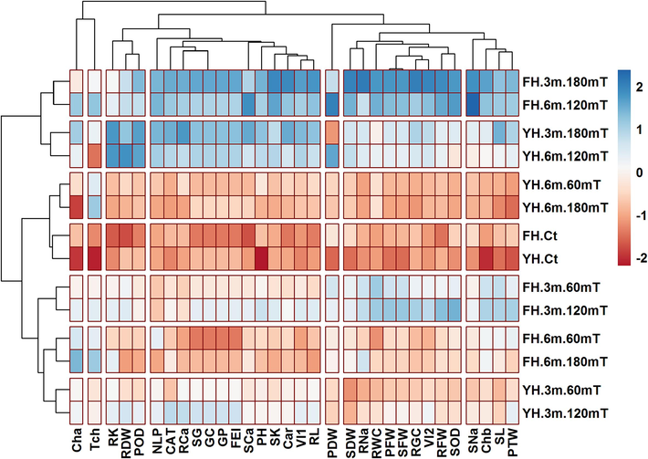 Clustered heatmap showing clustering of various germination, growth and physiological attributes of maize plants grown from magnetically primed seeds magnetized for different exposure times.