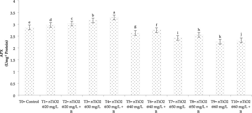 Effect of nTiO2 with A. brasilense on APX (ascorbate peroxidase) of wheat plant. B (A. brasilense bacterial strain), nTiO2 (titanium dioxide nanoparticles).