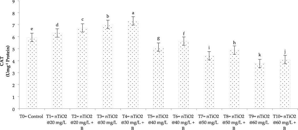 Effect of nTiO2 with A. brasilense on CAT (catalase) of wheat plant. B (A. brasilense bacterial strain), nTiO2 (titanium dioxide nanoparticles).