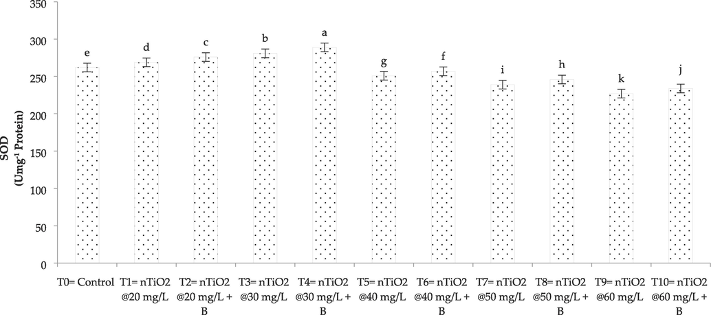 Effect of nTiO2 with A. brasilense on SOD (Superoxide dismutases) of wheat plant. B (A. brasilense bacterial strain), nTiO2 (titanium dioxide nanoparticles).