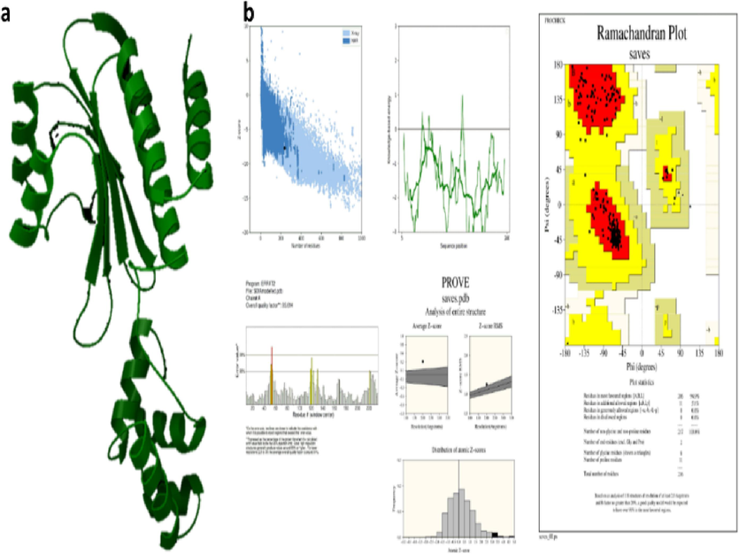 AbaR modelling (a) Modelled protein structure (b) Validation of AbaR.